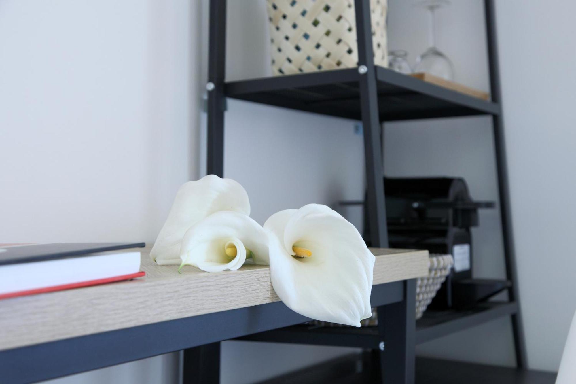Almyra Seafront Residence Lygia  Room photo